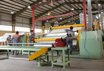 Glass fiber